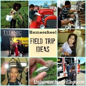 Homeschool Field Trip Ideas