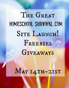 HS-Site-Launch-235x300