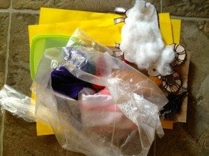 IMG_1556