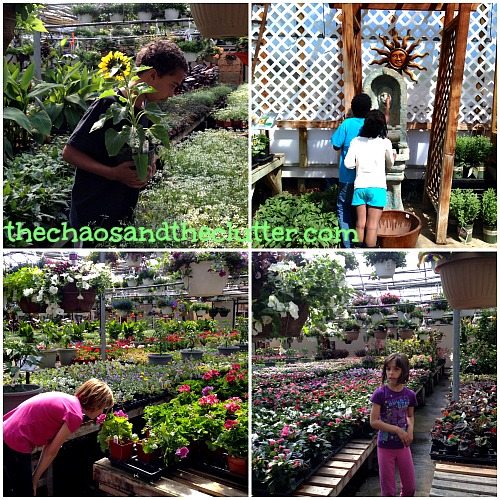 greenhouse visit