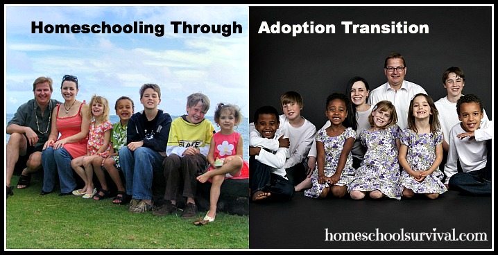 homeschooling through adoption transition